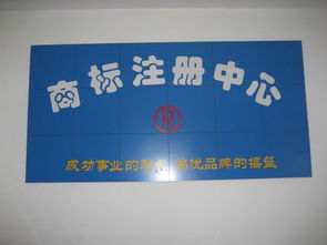 圣佳23周年 專業(yè)引領(lǐng)濟(jì)寧工商代理與公司注冊(cè)服務(wù)