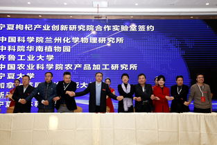 寧夏中寧枸杞產(chǎn)業(yè)創(chuàng)新研究院項(xiàng)目發(fā)布簽約暨學(xué)術(shù)交流會(huì)成功舉辦，工商事務(wù)代理助力產(chǎn)業(yè)發(fā)展